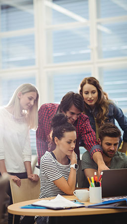 Adapt%20Software%20365